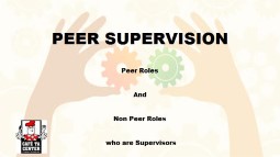 Peer Supervision